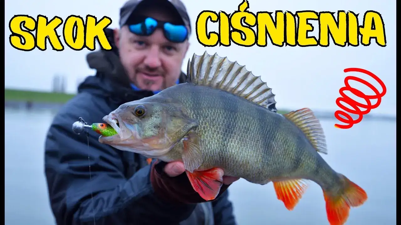 Zdjęcie Jakie ciśnienie dobre na ryby? Odkryj sekrety skutecznego wędkowania