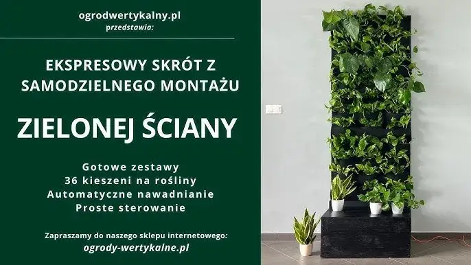 Zdjęcie Jak stworzyć zieloną ścianę w salonie: 5 prostych kroków