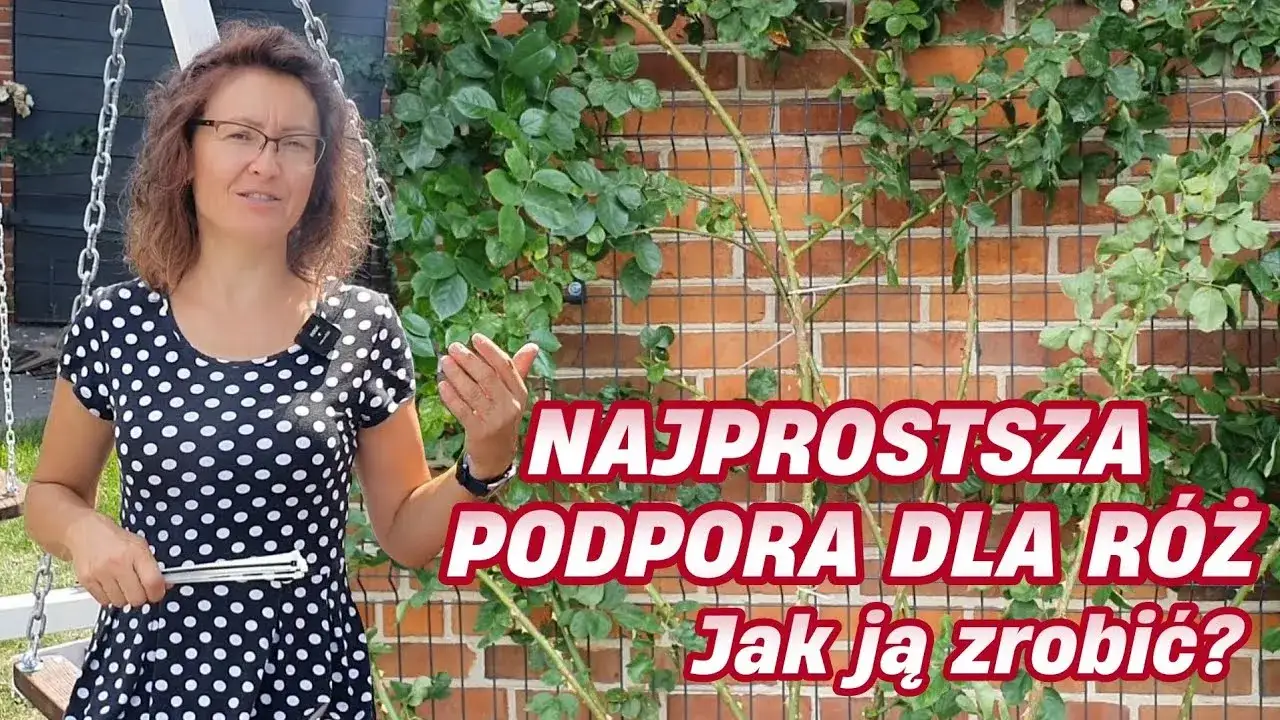 Zdjęcie Jak zrobić pergolę na róże – krok po kroku, aby uniknąć błędów