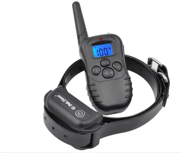 Zdjęcie Najlepsza obroża elektryczna dla owczarka niemieckiego – wybierz mądrze