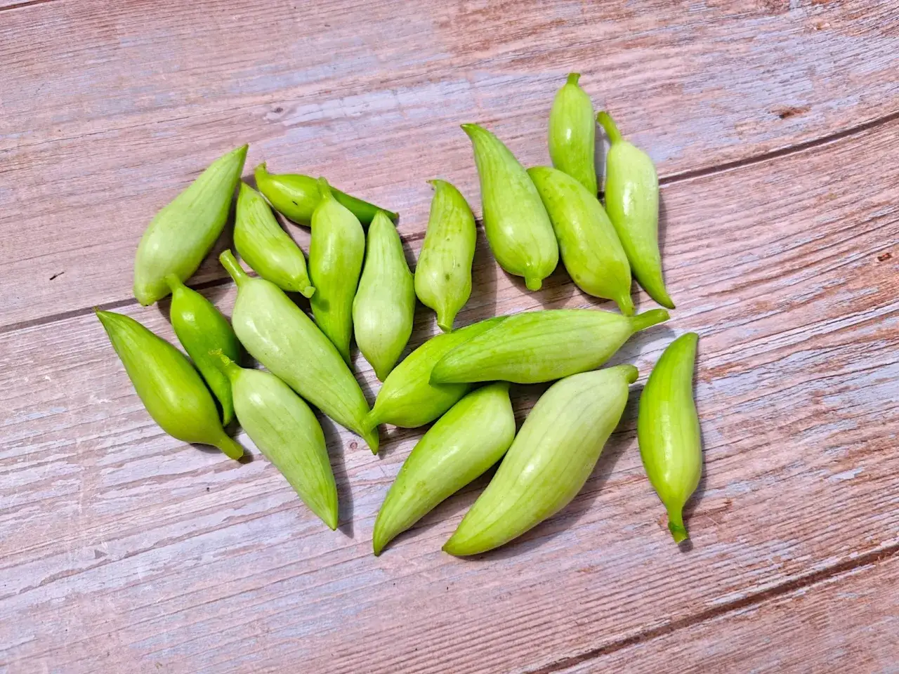 Zdjęcie Odkryj Świat Dziki Ogórek: Właściwości i Przepisy z Dzikimi Ogórkami i Cyklanterą Marynowaną