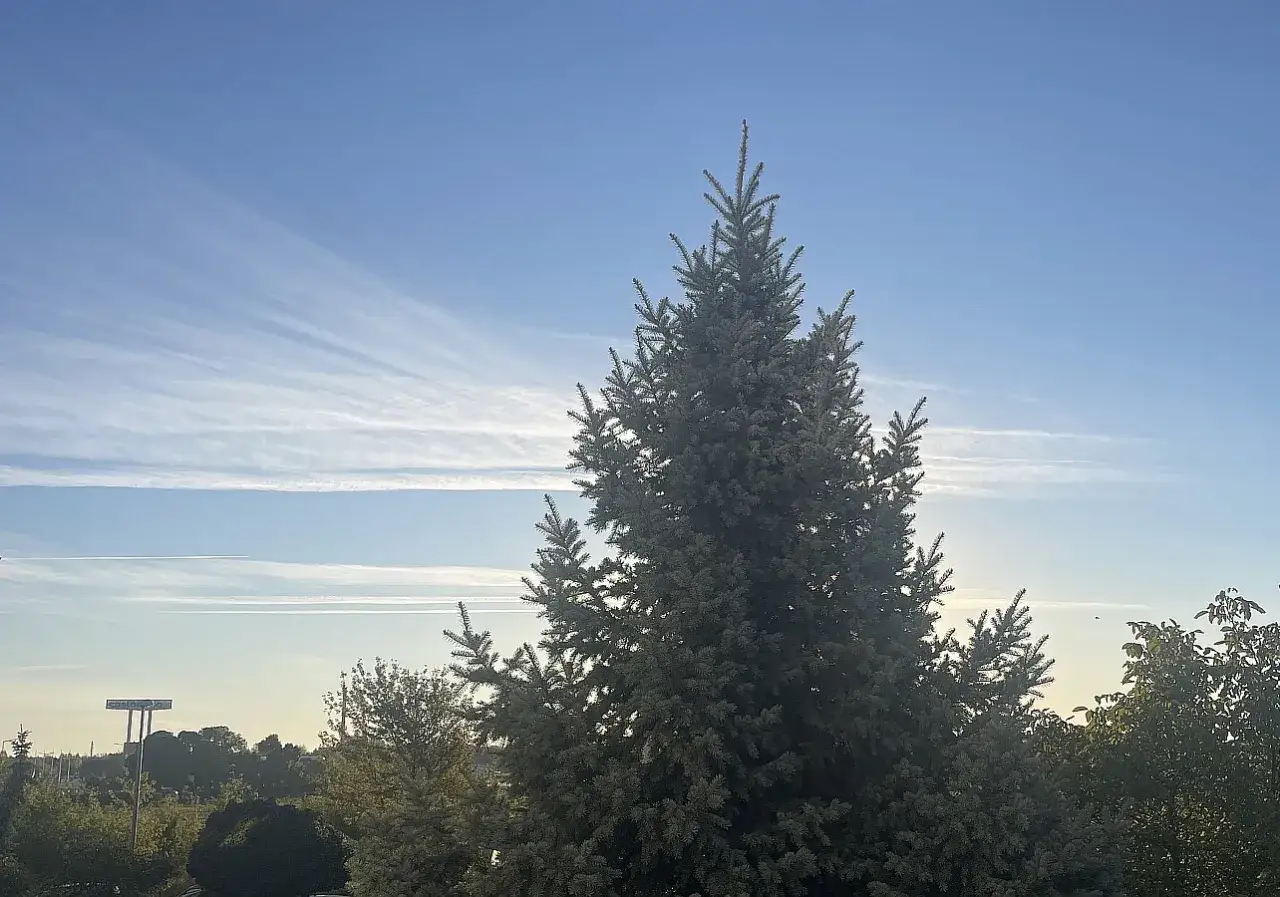 Zdjęcie Jaka pogoda w Radomiu? Sprawdź, co czeka Cię dzisiaj!