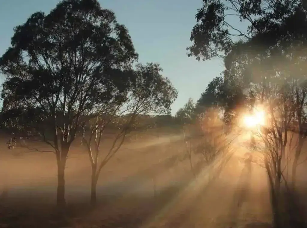 Zdjęcie Zjawisko Tyndalla: fascynujące przykłady rozpraszania światła wokół nas