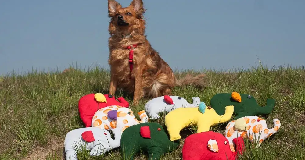 Zdjęcie Jak zrobić strój słonia dla dziecka - łatwe i kreatywne pomysły