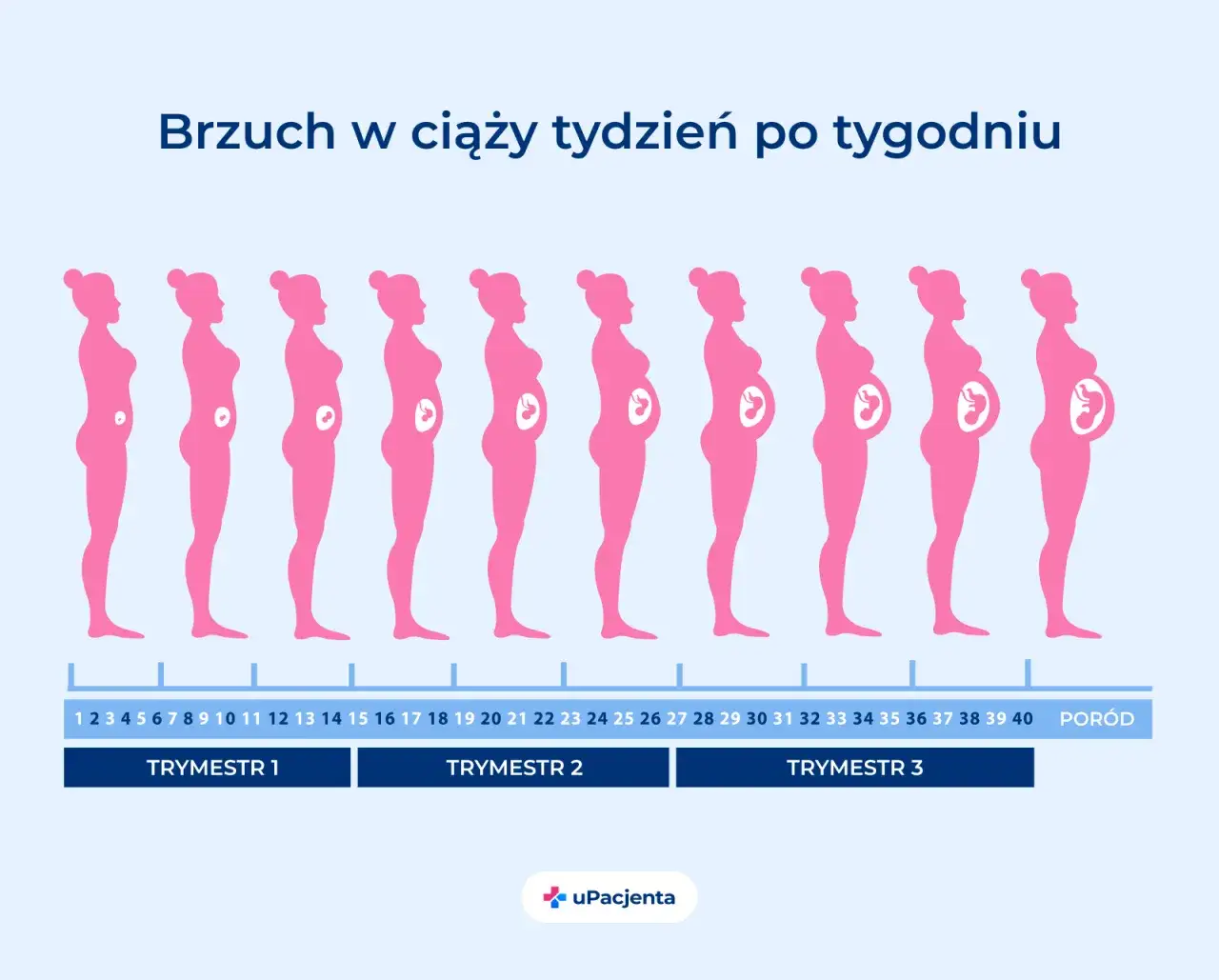 Zdjęcie 19 tydzień ciąży: Gdzie jest Twoje dziecko? Zaskakujące fakty