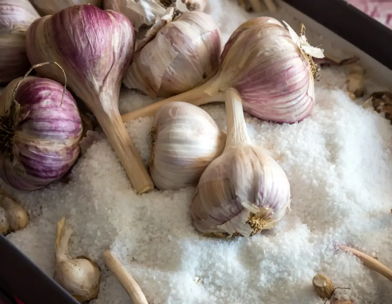 Zdjęcie Jak suszyć czosnek? Sprawdzone metody i techniki przechowywania