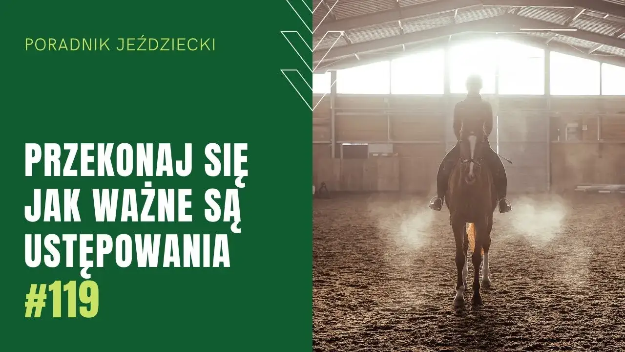 Zdjęcie Jeździectwo ujeżdżenie: Kluczowe techniki i tajniki sukcesu w sporcie