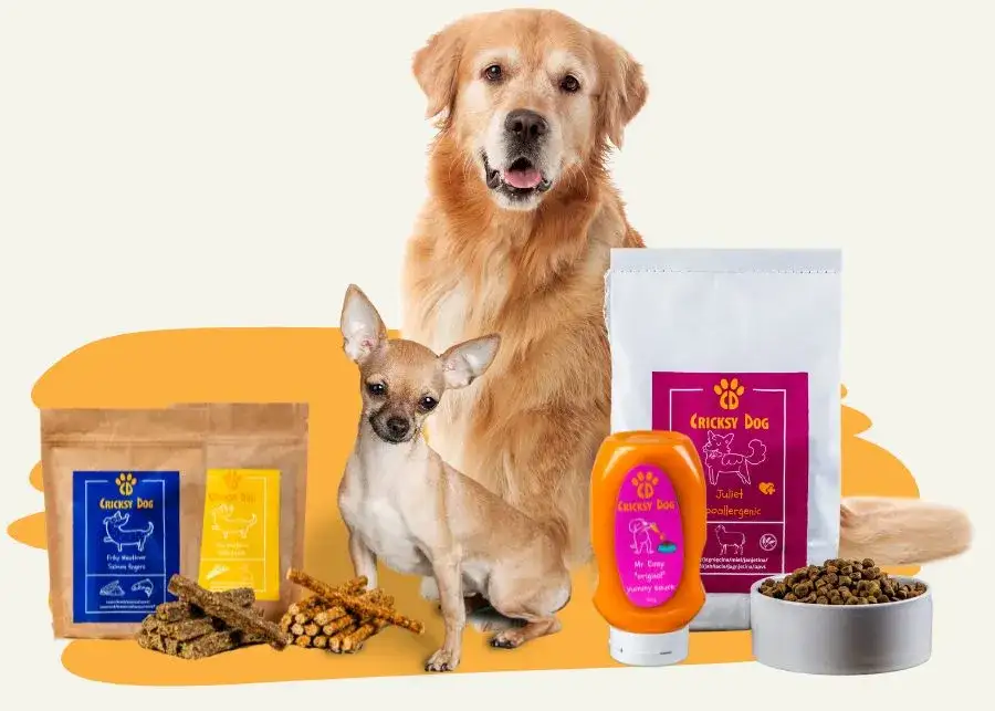 Zdjęcie Jak wybrać dobrą karmę dla małych psów: 5 najważniejszych zasad żywienia