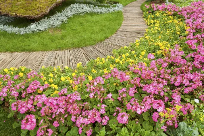 Zdjęcie Co sadzić w kwietniu do gruntu? 15 roślin idealnych na wiosnę