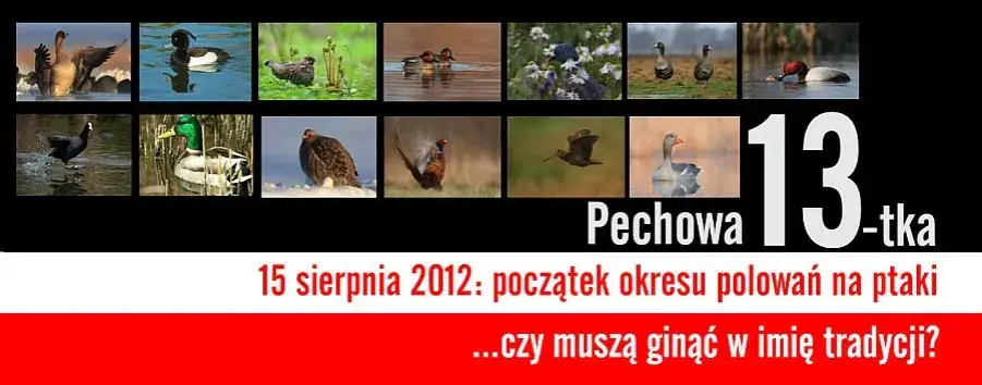 Zdjęcie Te 7 newsów z Polski zszokowało wszystkich, a Ty na pewno nie słyszałeś ostatniego