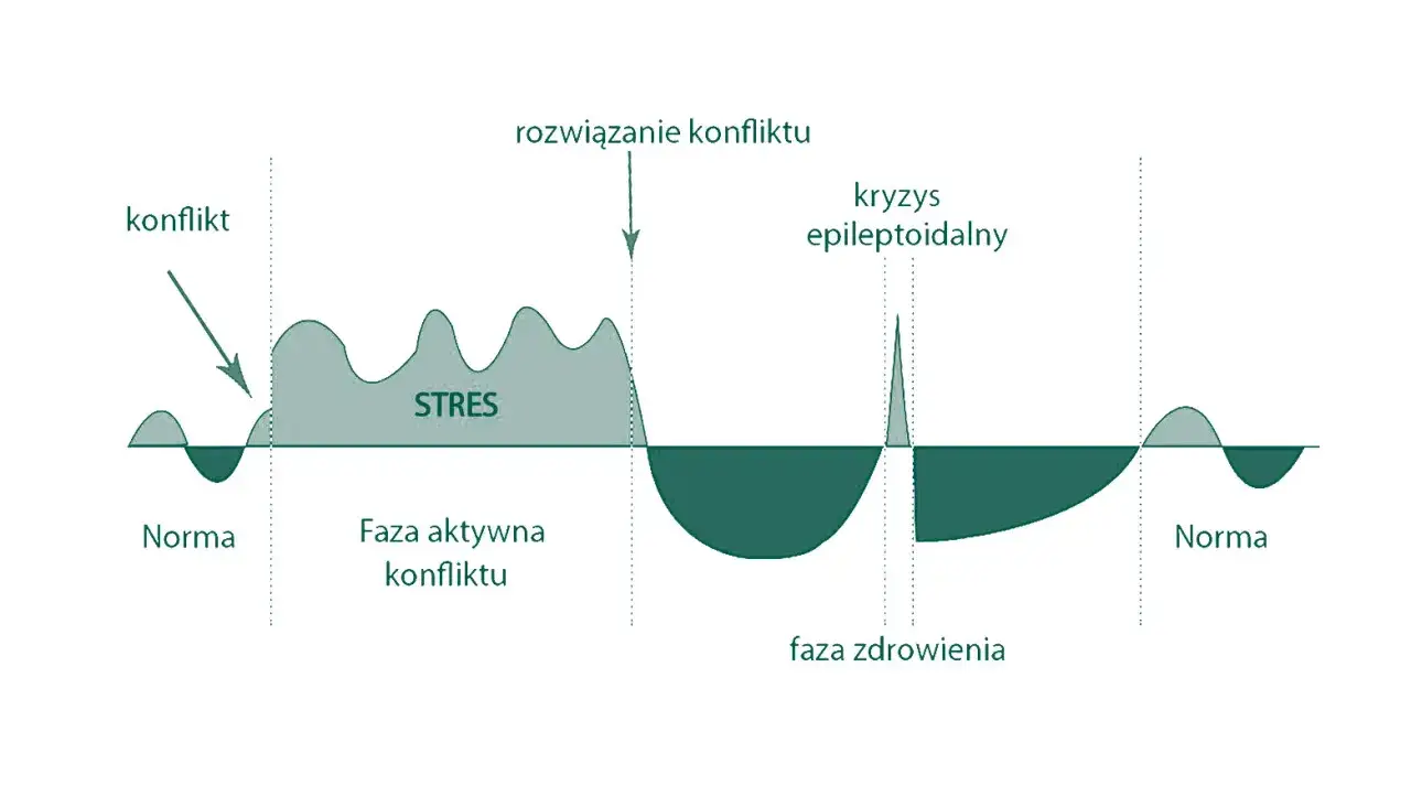 Zdjęcie Totalna biologia jak rozwiązać konflikt emocjonalny i odzyskać zdrowie