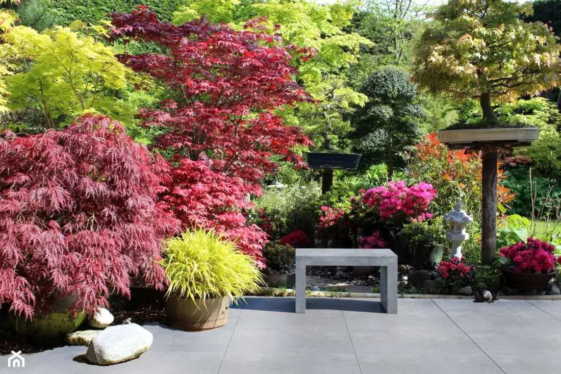 Zdjęcie Jak urządzić ogród japoński: sekrety piękna i harmonii w przestrzeni