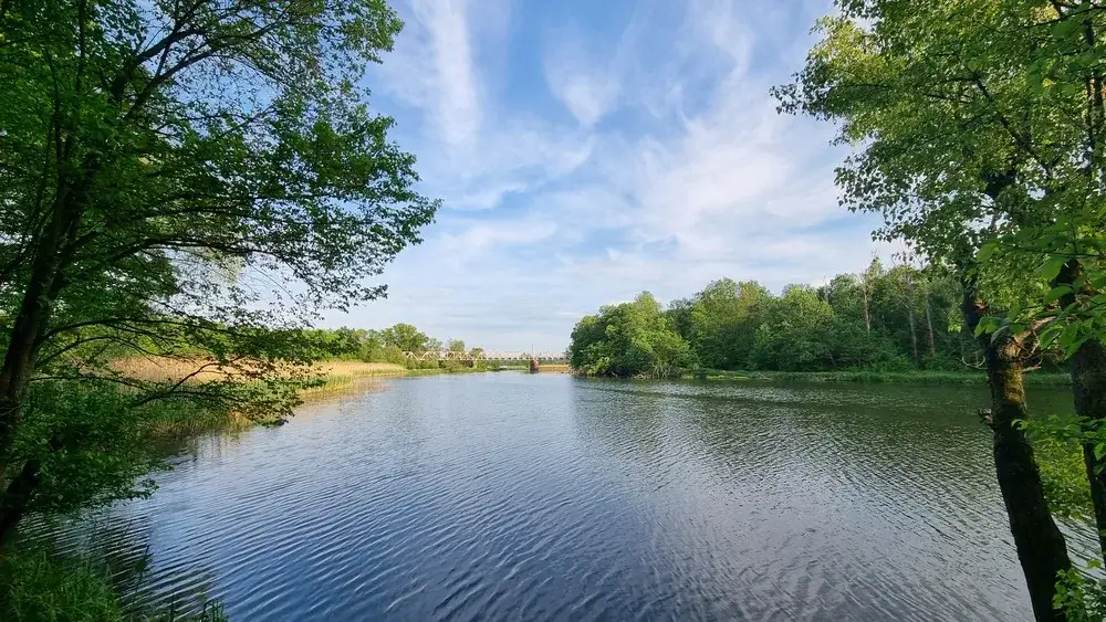 Zdjęcie Jezioro Panieńskie - fascynujący zbiornik wodny pod Wrocławiem w pigułce