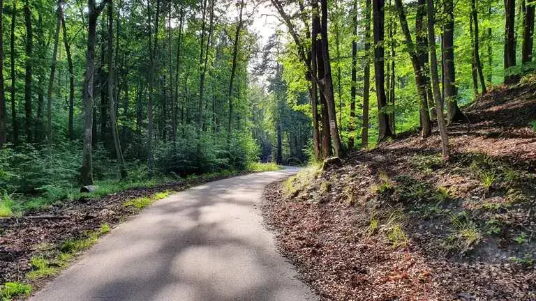 Zdjęcie Trasy rowerowe Trójmiasto: odkryj najpiękniejsze ścieżki rowerowe