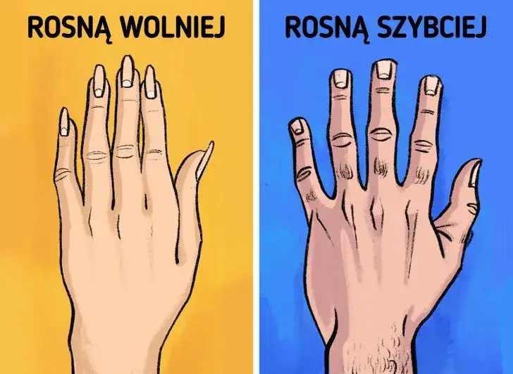 Zdjęcie Jak szybko rośnie paznokieć? Odkryj tajemnice zdrowego wzrostu