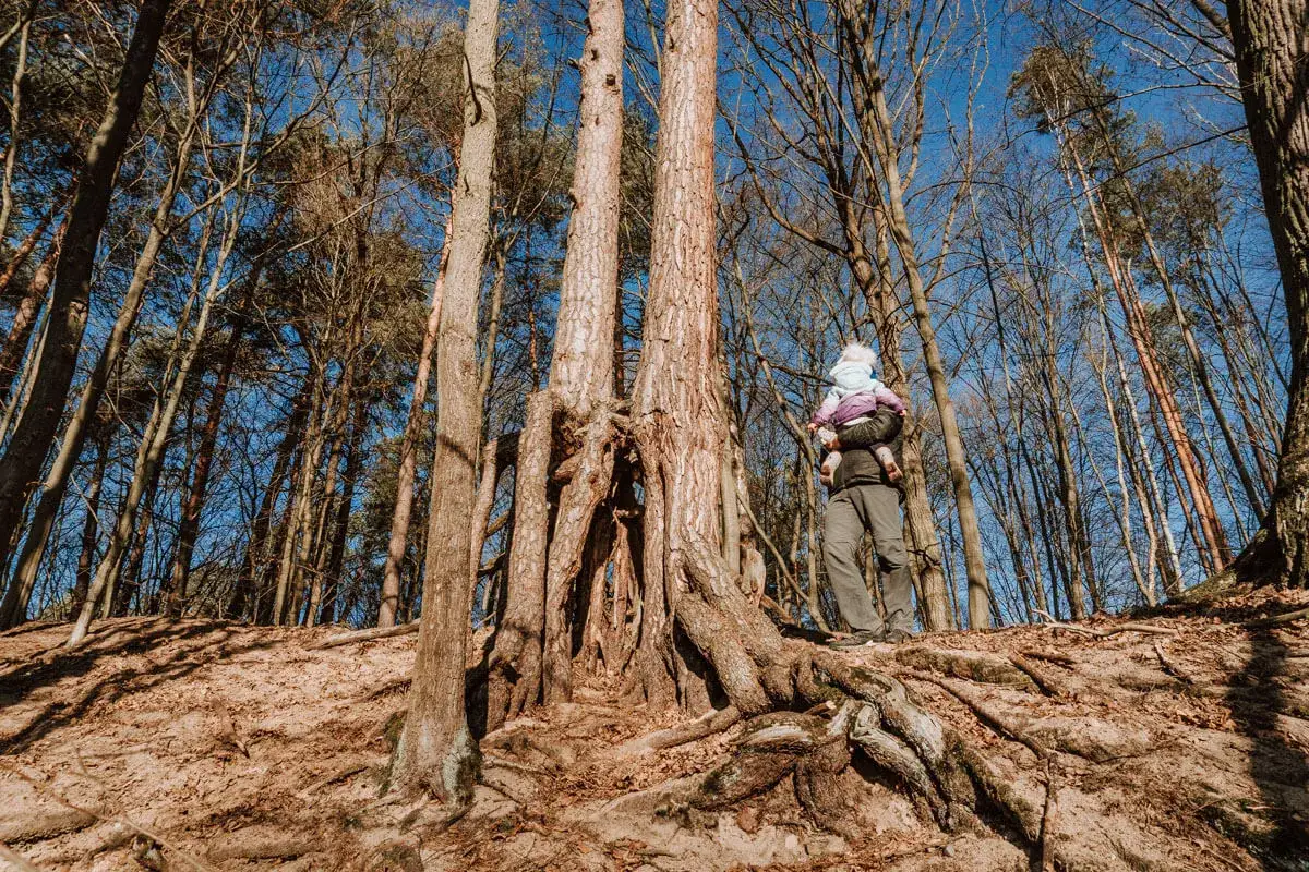 Zdjęcie Najlepsze atrakcje turystyczne w Spałej, które musisz poznać