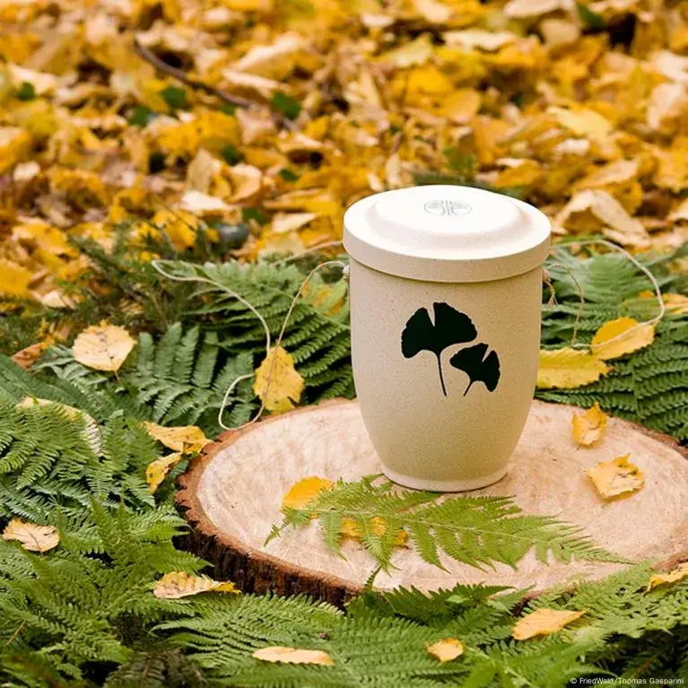 Zdjęcie Jak wyglądają cmentarze w Niemczech i co je wyróżnia od polskich?