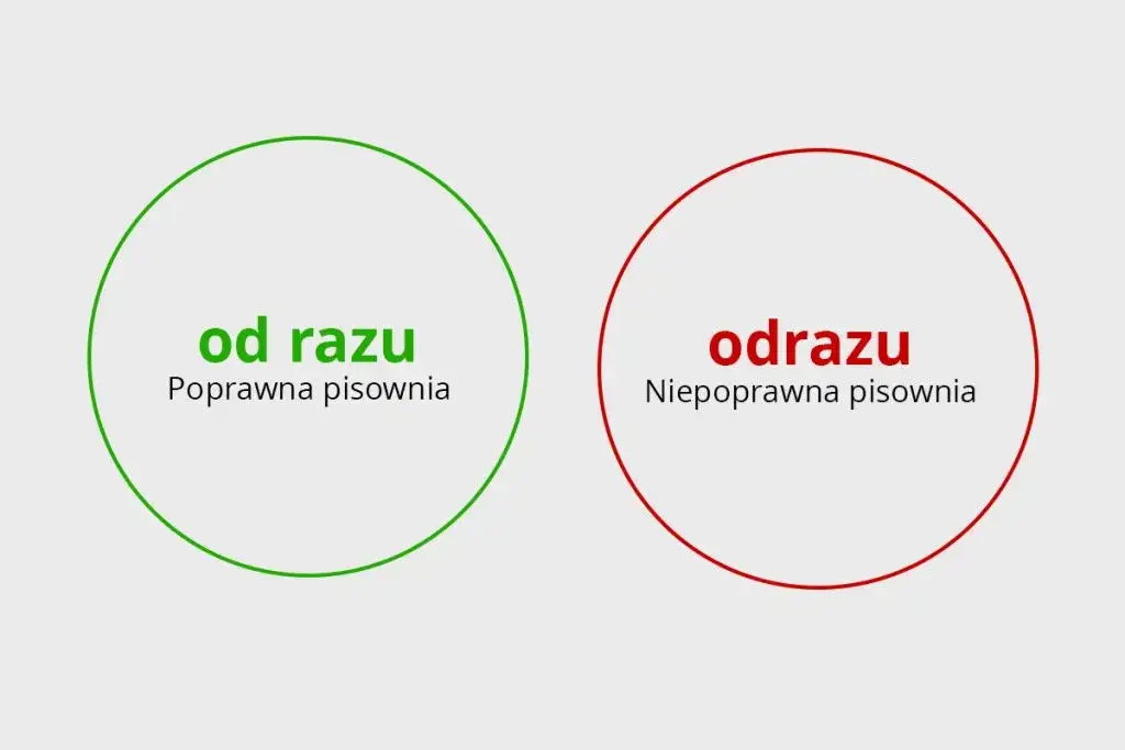Zdjęcie Od razu jak się pisze - zasady poprawnej polszczyzny i najczęstsze błędy