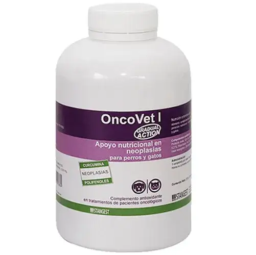 Zdjęcie Suplementos para perros con c&aacute;ncer: &iquest;Cu&aacute;les son seguros y efectivos?