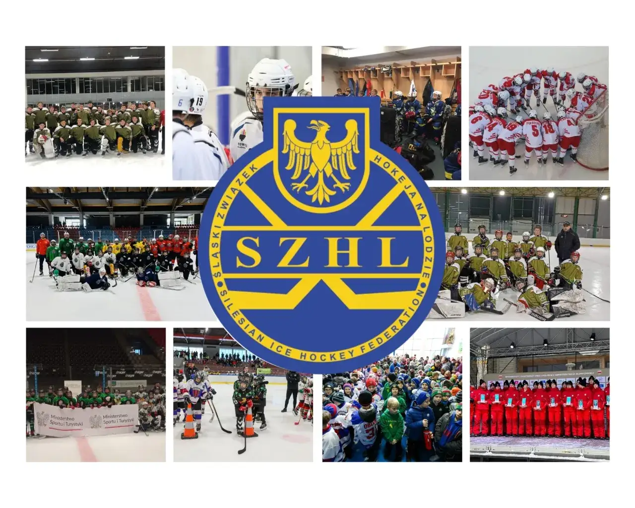 Zdjęcie Statystyki PZHL: Najlepsi zawodnicy i ich osiągnięcia w lidze