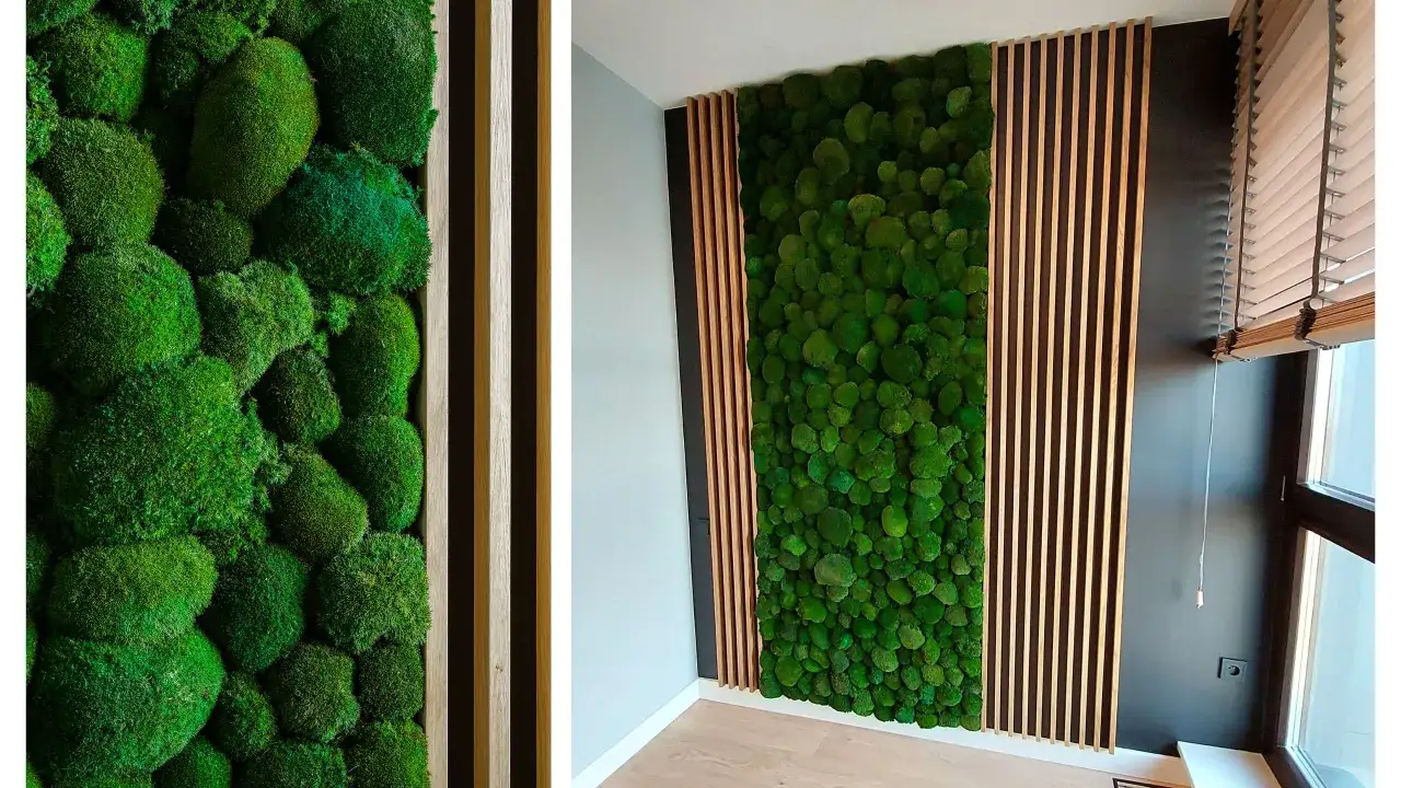 Zdjęcie Jak dbać o mech dekoracyjny, aby zawsze wyglądał świeżo i zdrowo