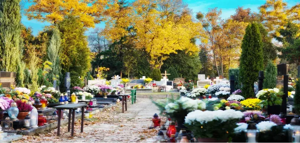 Zdjęcie Kto odpowiada za drzewa na cmentarzu i jakie są tego konsekwencje?