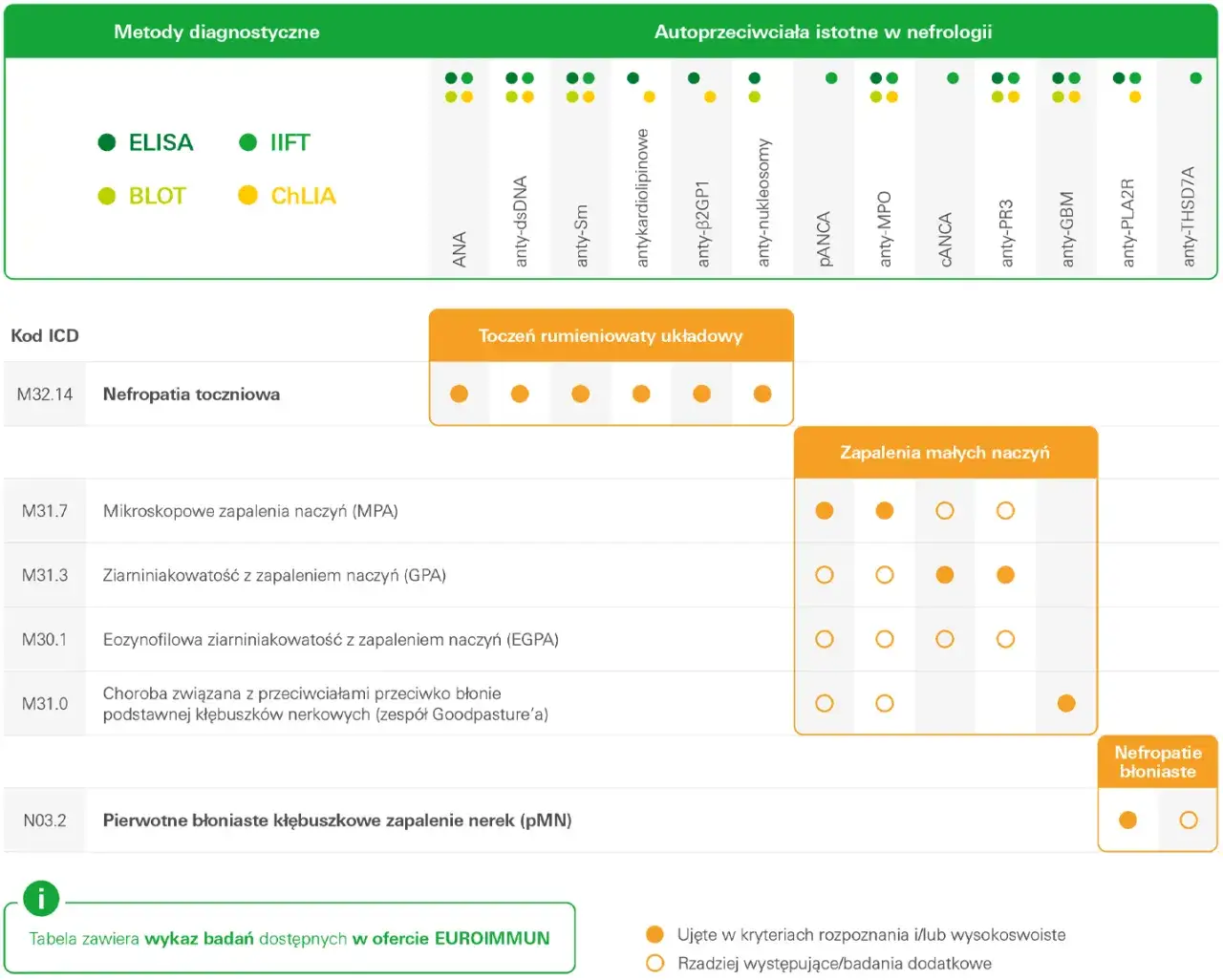 Zdjęcie Jakie badanie na nerki wykonać aby szybko wykryć chorobę - Kompleksowy test