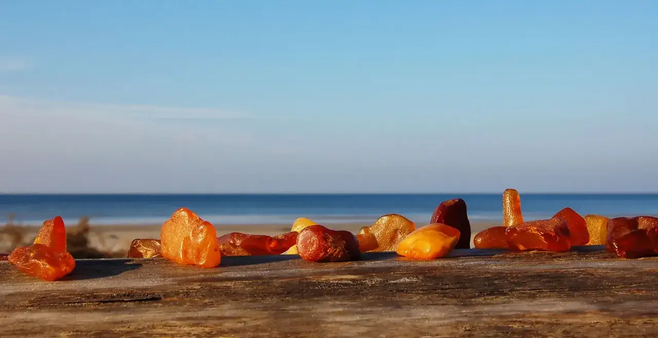 Zdjęcie Gdzie najwięcej bursztynów nad Bałtykiem: 8 sprawdzonych lokalizacji na plaży