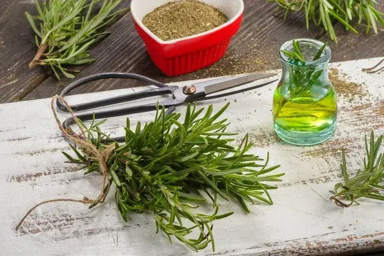 Zdjęcie Skuteczne sposoby na pamięć dla seniora: ćwiczenia i dieta, które działają