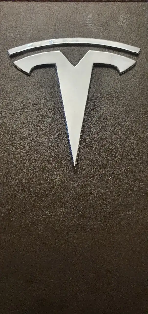 Zdjęcie Jak wygląda znaczek Tesli i co naprawdę symbolizuje?