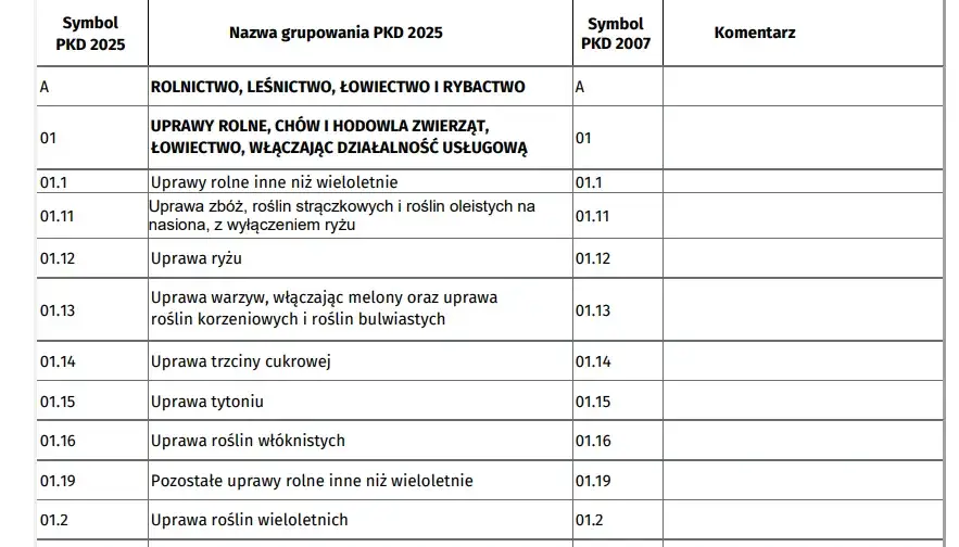 Zdjęcie Jakie kody PKD są niezbędne do założenia biura podróży w Polsce