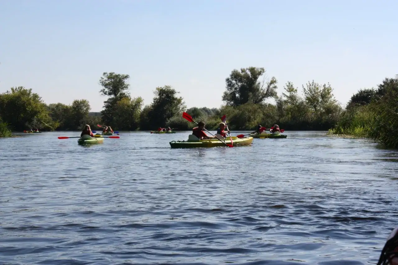 Zdjęcie Spływ kajakowy Białobrzegi: idealna trasa na Pilicy bez stresu