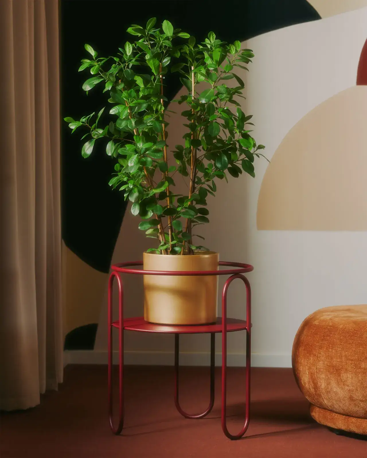 Zdjęcie Jakie kwiaty na kwietnik w domu - łatwe w pielęgnacji rośliny