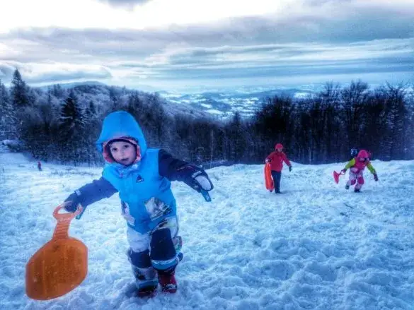 Zdjęcie Gdzie na sanki z dzieckiem w Dolnośląskiem? Sprawdź najlepsze miejsca i porady!