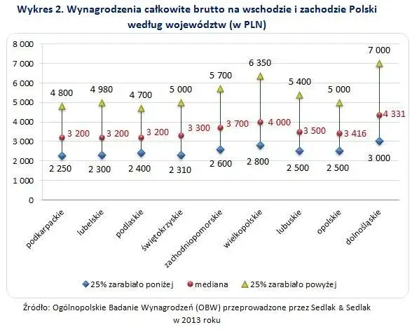 Zdjęcie Płatny staż ile płacą? Poznaj różnice w wynagrodzeniach w Polsce