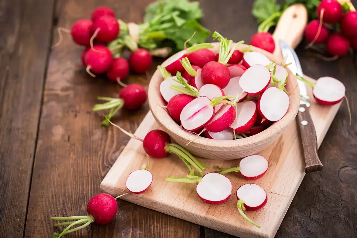 Zdjęcie Czy pies może jeść rzodkiewkę? Sprawdź, co musisz wiedzieć!