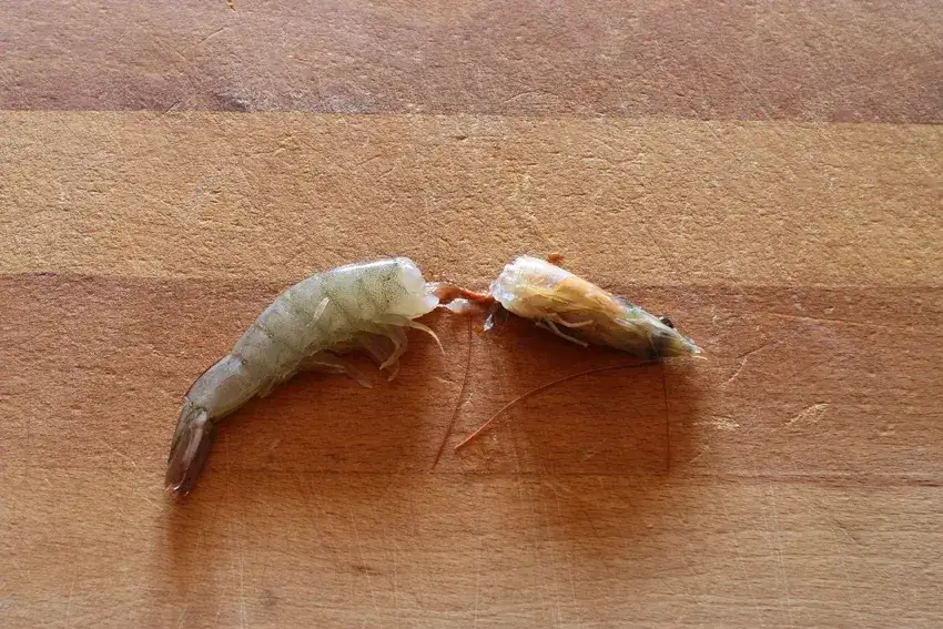 Zdjęcie Gdzie krewetki mają jelito i jak je prawidłowo oczyścić