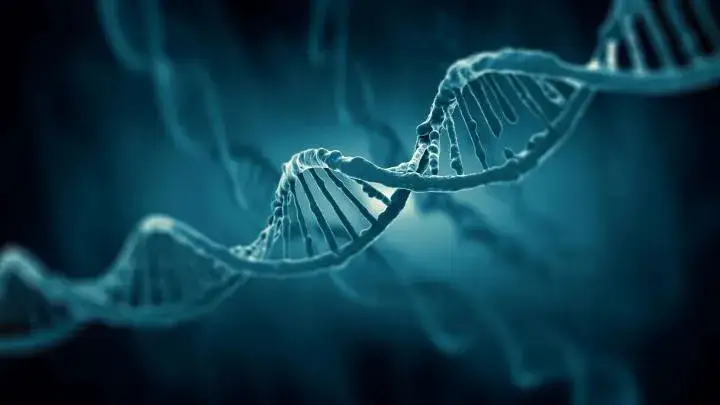 Zdjęcie Kto odkrył DNA? Poznaj kluczowe postacie i ich znaczenie w nauce