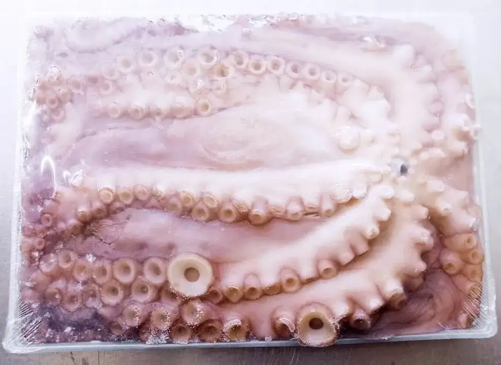 Zdjęcie Gdzie kupić ośmiornice: Najlepsze sklepy i ceny - Poradnik