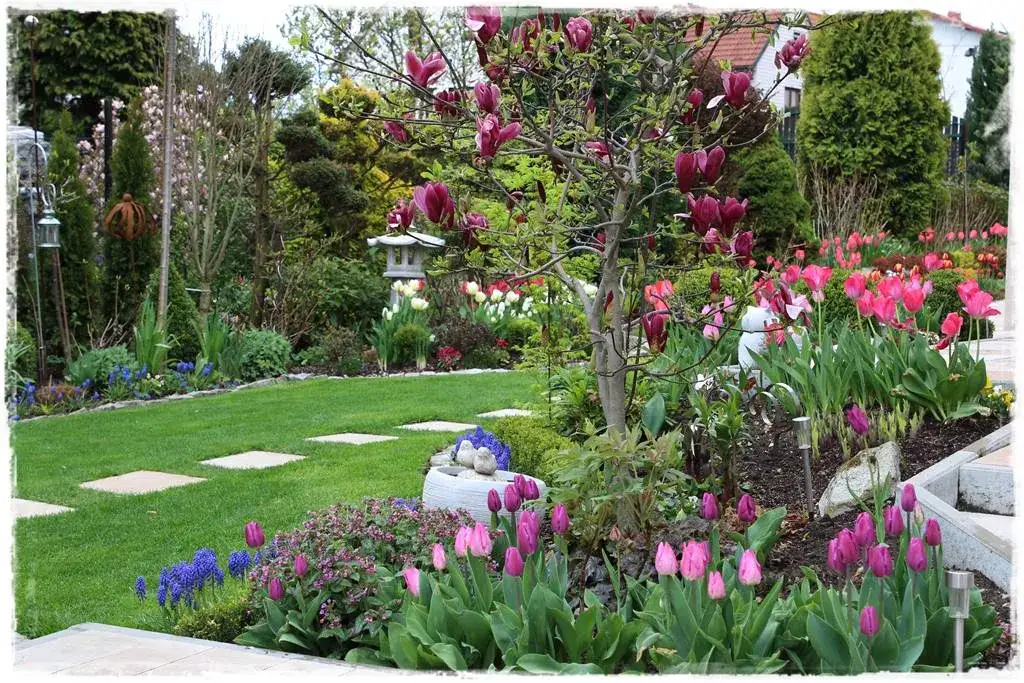 Zdjęcie Co posadzić pod magnolią, aby uniknąć problemów z roślinami?