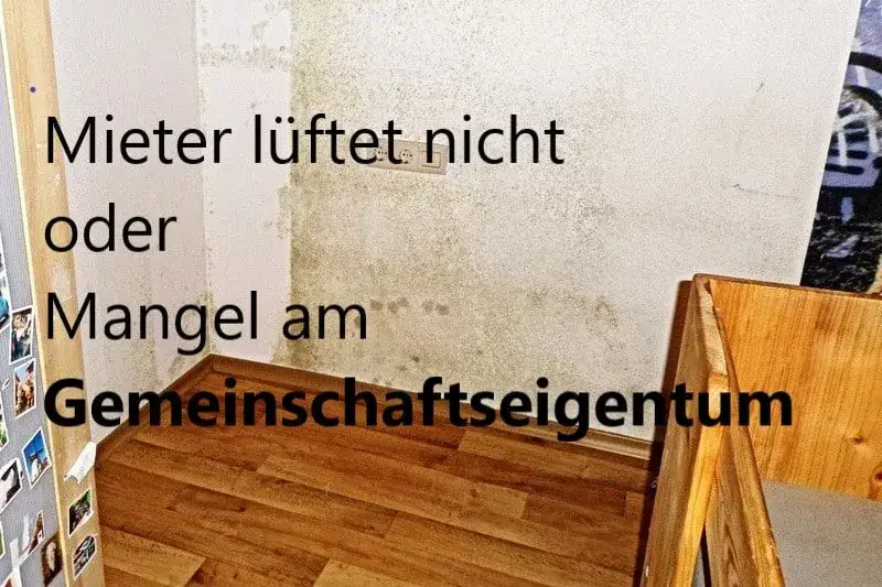 Zdjęcie Schimmel im Schlafzimmer: Was Mieter &uuml;ber Vermieterpflichten wissen m&uuml;ssen