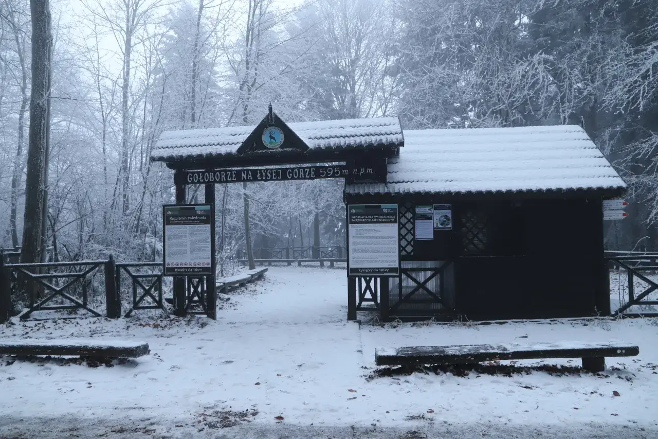 Zdjęcie Gdzie w Góry Świętokrzyskie zimą? Odkryj zimowe atrakcje i szlaki