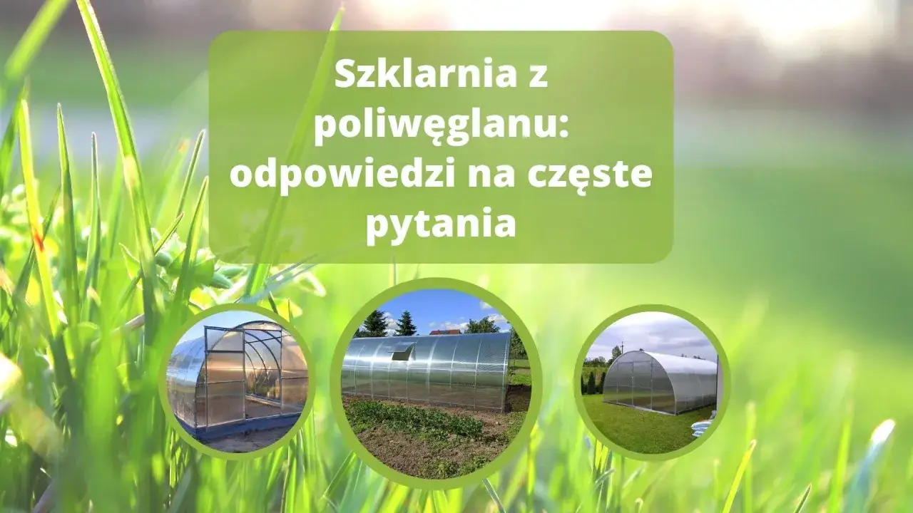 Zdjęcie Czy poliwęglan nadaje się na szklarnię? Odkryj jego zalety i wady