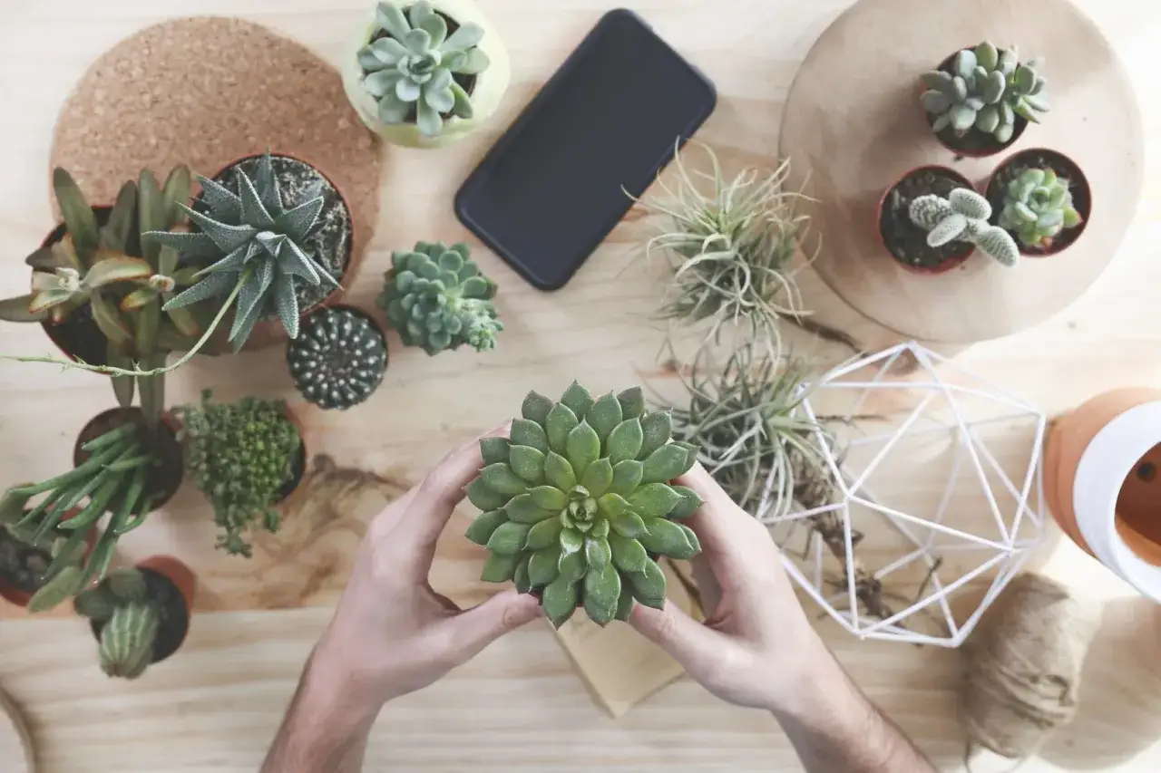 Zdjęcie Najlepsze prezenty w stylu boho na każdą okazję, które zachwycą