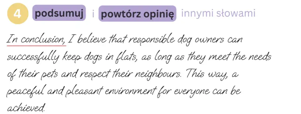 Zdjęcie Kompletny przykład rozprawki po angielsku: wzór z gotowymi zwrotami