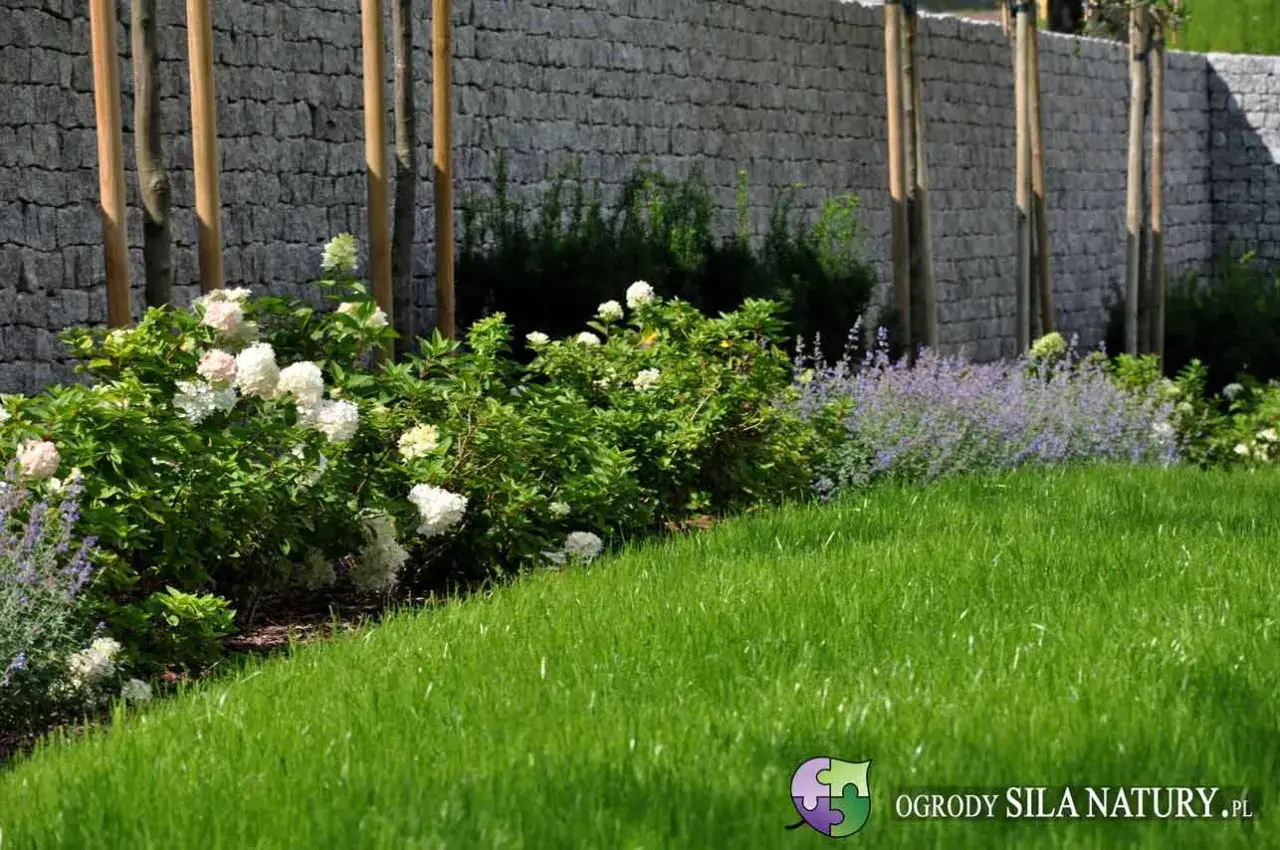 Zdjęcie Ile kosztuje wyrównanie terenu pod trawnik? Sprawdź, co wpływa na ceny