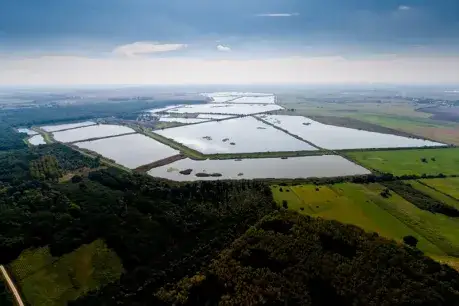 Zdjęcie Rezerwat Przyrody Starzawa: co warto wiedzieć przed wizytą i jak uniknąć błędów