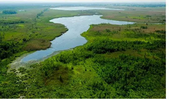 Zdjęcie Rezerwaty przyrody w Szczecinie: co warto zobaczyć i jak je chronić?