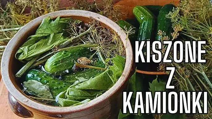 Zdjęcie Jak kisić ogórki w kamionce - sprawdzone sposoby na idealne kiszonki