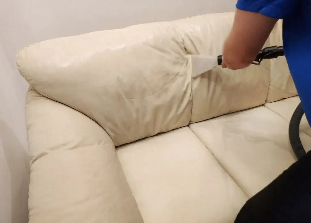 Zdjęcie Jak wyczyścić kanapę parownicą i uniknąć zniszczenia tkaniny